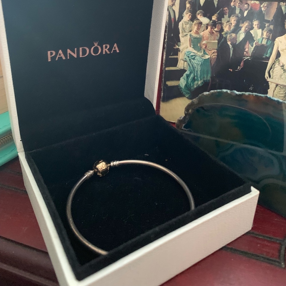 Authentic Pandora bangle